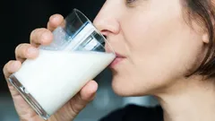 牛乳だけじゃない：栄養士が選ぶ、タンパク質含有量が最も高い飲み物